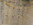 teufelsstein, bad dürkheim, berg teufelsstein, schalenstein, schale, schalen, steinschale, rinne, stufen, gravuren, kriemhildenstuhl bad dürkheim, römischer steinbruch, inschriften, römische siegel, heidenmauer