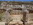 malta, hagar qim, mnajdra,  tempel, ruine, megalithen, megalithbauten, megalithkultur, viktoria, ruine, geheimnisvolle bauten,  megalithic.co.uk, indiana stones, indiana-stones, indiana jones